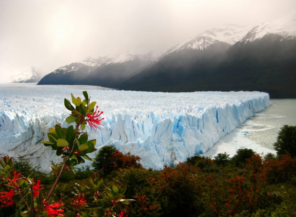 Vistas del Glaciar Moreno